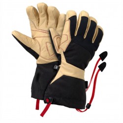 Ski Gloves